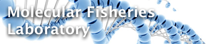 Molecular Fisheries Laboratory
